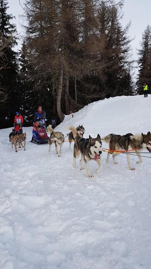 Appart Zig-Zag Les Coches La Plagne Eksteriør bilde